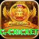 1st inning betting cricket Max v4.6.7