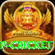 2022 world cup cricket Gold v5.5.9