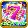 aaron finch Pro Edition v2.7.5