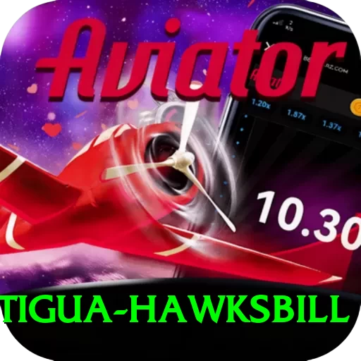 antigua hawksbill Pro Max v1.6.5 - 2