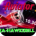 antigua hawksbill Pro Max v1.6.5