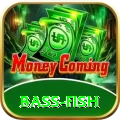 bass fish Pro Edition v5.4.1