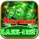 bass fish Pro Edition v5.4.1