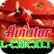 bbl cricket App