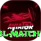bbl match Plus v5.0.6
