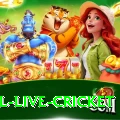 bpl live cricket Plus v1.3.4