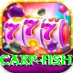 carp fish Gold v5.9.1