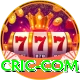 cric com Games (Casino & Earning) Premium v1.9.5