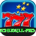 cricket match schedule Champion PK v5.4.1