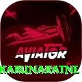 dimuth karunaratne Pro Edition v4.3.0