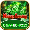 dravid Prime Casino App