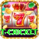 early payout cricket Turbo Pro v5.6.4