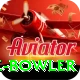 economy rate bowler Plus Pro v1.1.1