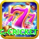 eng cricket Gold Pro v1.2.0
