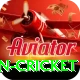fastest ball in cricket Games (Casino & Earning) Master v4.6.2