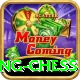 flying chess VIP v2.7.9