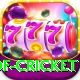 god of cricket Premium Plus v2.0.3