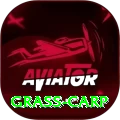 grass carp Games (Casino & Earning) Max v4.4.1