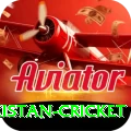 india pakistan cricket Deluxe v3.0.2