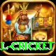 international cricket Pro v1.2.8
