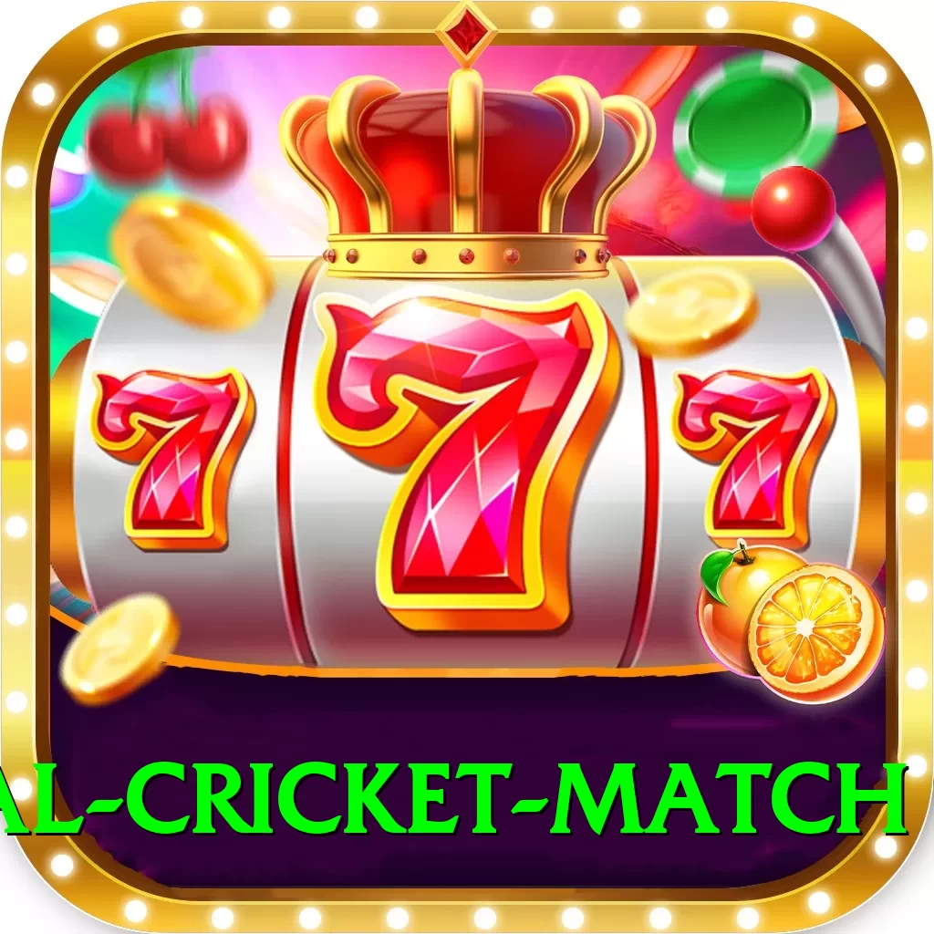 international cricket match Deluxe Pro v5.2.8 - 2