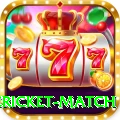 international cricket match Deluxe Pro v5.2.8