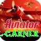 joel garner Gold Edition v1.8.2