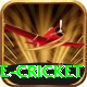 mobile cricket Deluxe v2.5.0