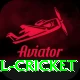 most runs in international cricket Apps (Tools & Injectors) Pro v1.0.8