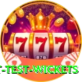 most test wickets Pro v4.6.9