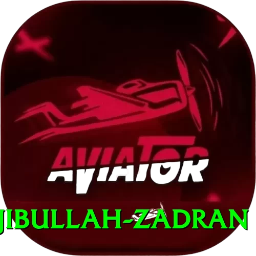 najibullah zadran VIP - 2