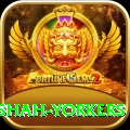 naseem shah yorkers Gold v1.2.5