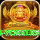 naseem shah yorkers Gold v1.2.5