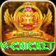 ndtv cricket Turbo Pro v5.1.1