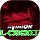 nepal cricket Premium Plus v2.6.5