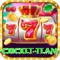 netherlands cricket team Max v1.0.6