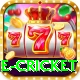 online cricket Pro Max v3.4.7