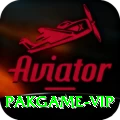 pakgame Mega Gaming App