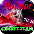 pakistan women cricket team Premium Edition v4.3.7
