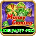 pakrummy - Slots Premium