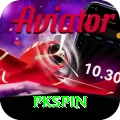 pkspin VIP Edition v4.3.9