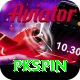 pkspin VIP Edition v4.3.9