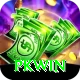 PKWin Deluxe vv3.6.1