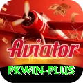 pkwin Pro1 v5.4.6