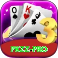 pkzz Pro1 v1.5.0