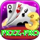 pkzz Pro1 v1.5.0