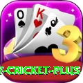 play cricket Ultimate New