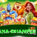 pothana dhampus VIP v4.2.4