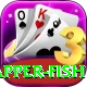 red snapper fish Ultimate Pro v3.9.0