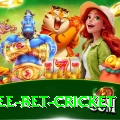 risk free bet cricket Turbo Pro v1.4.6